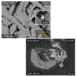 Particle analysis application: SEM images taken at high and very low beam energies just by a single click on the gain settings of the Switchable Gain Advanced BSD Software. There is no smearing effects between single pixels in single frame shots at high energies.