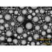 SEM image acquired with Switchable Gain Advanced BSD set at “high speed mode”, corresponding to gain setting of 1×10⁵ V/A. At a primary beam energy of 30 keV, the image acquisition is performed at a very high speed (down to 0.1 s per frame).