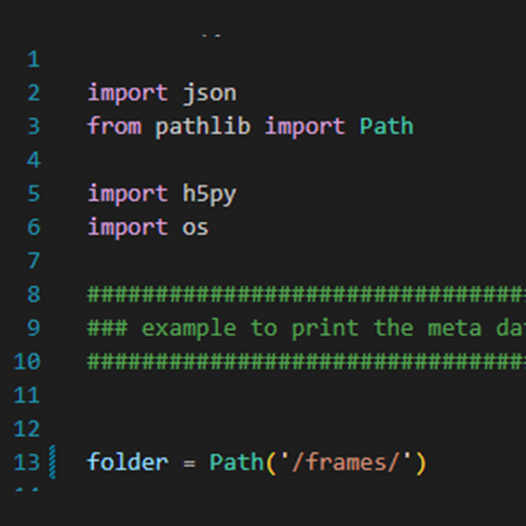 Developer Options: SDK and API